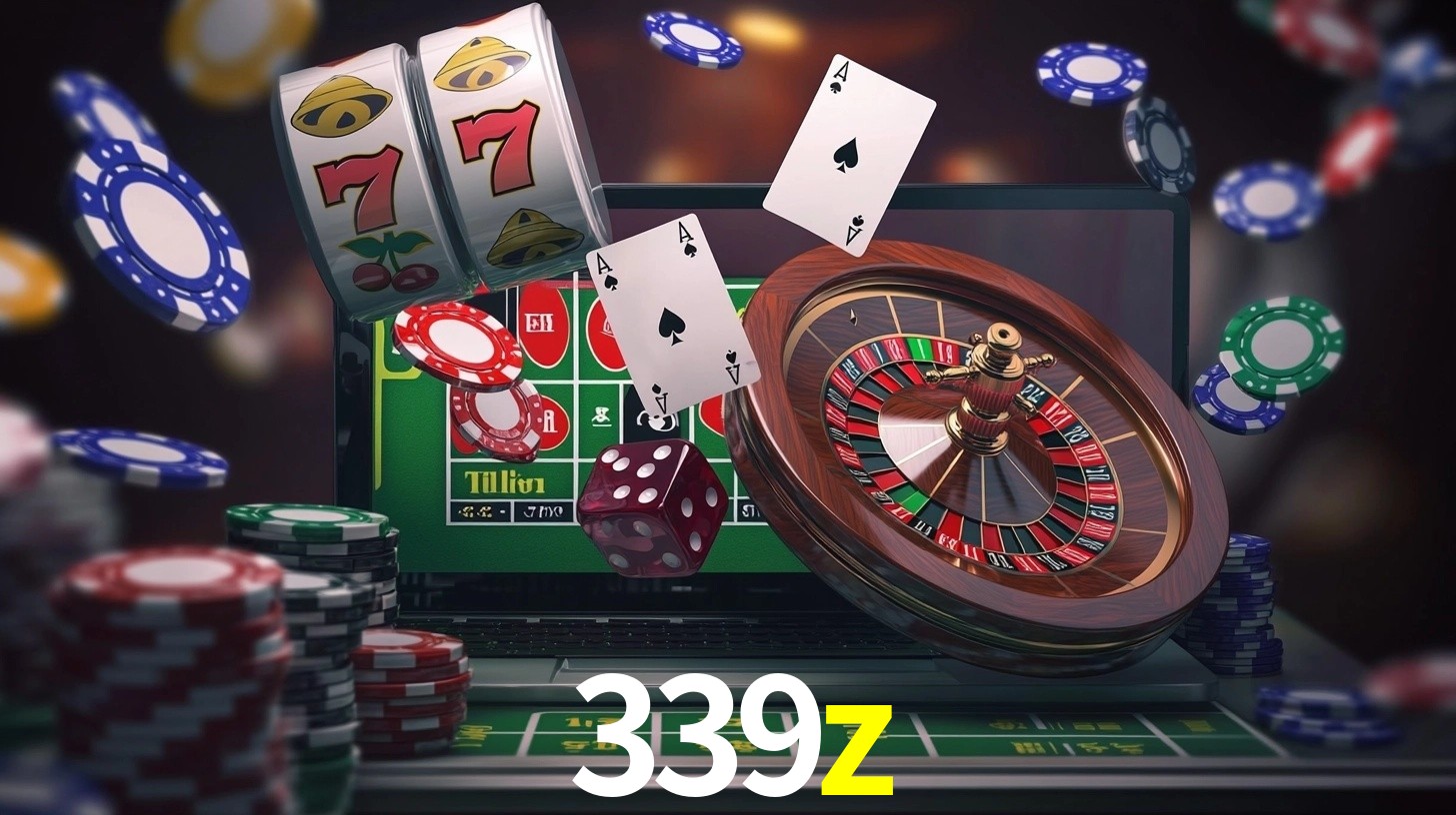 339z App Interface